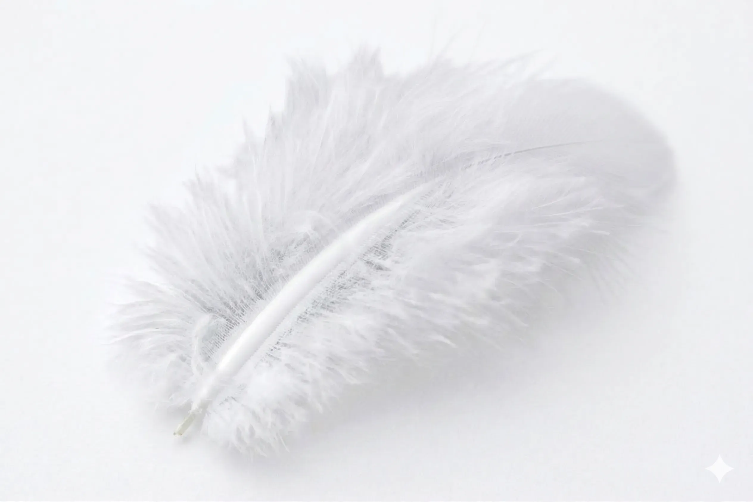 Plume blanche légère et douce posée sur un fond blanc épuré